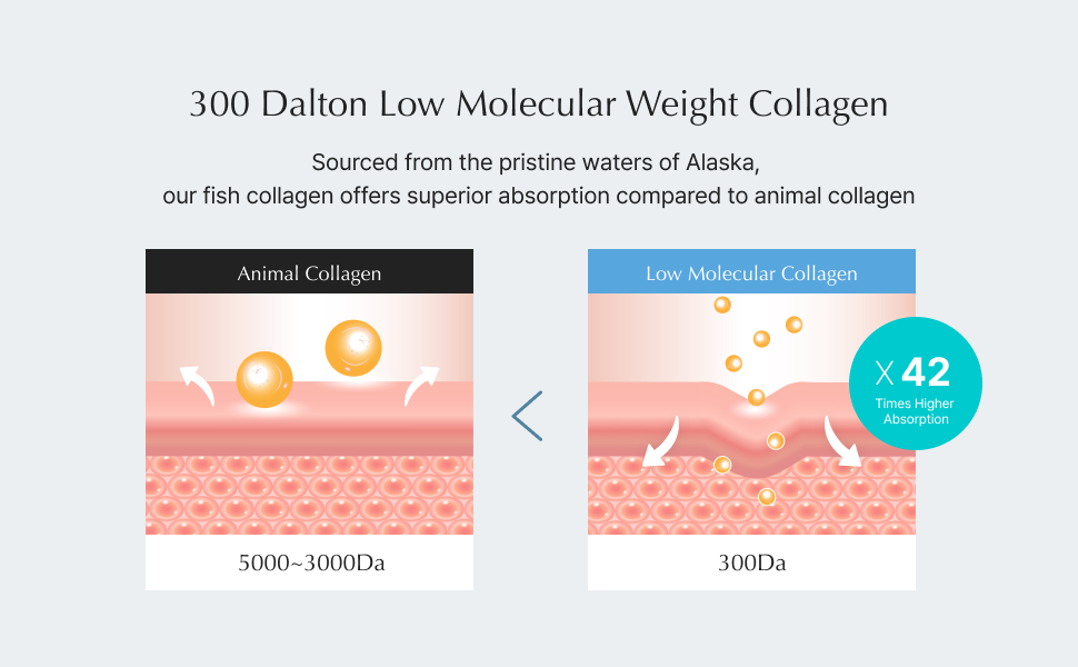 Lepique collagen overnight mask — A+ module 6